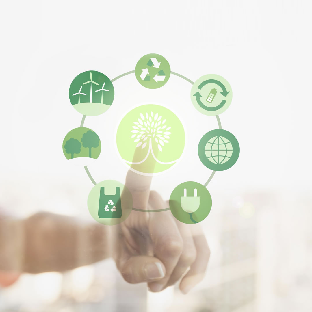 5 de Junho - Dia Mundial do Meio Ambiente