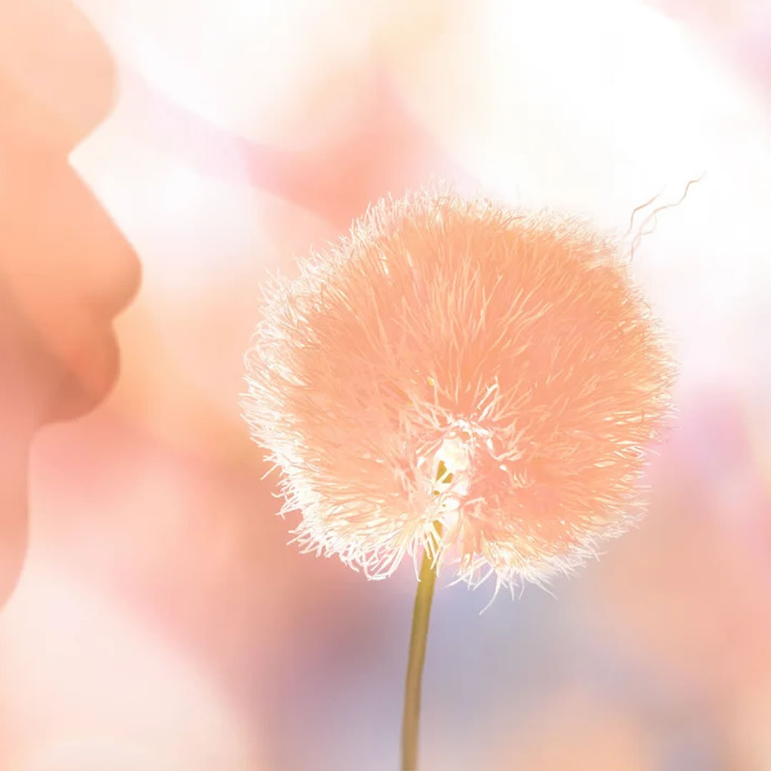 Descubra a cor Pantone para 2024: Peach Fuzz