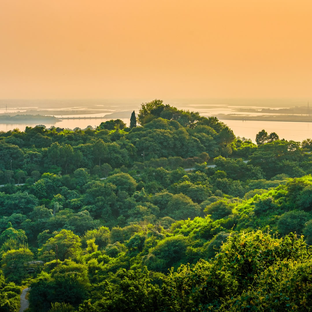 Dia Internacional da Biodiversidade